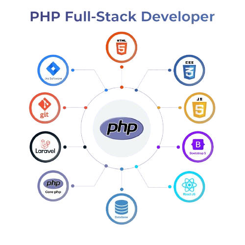 Senior {Full Stack}Web Developer